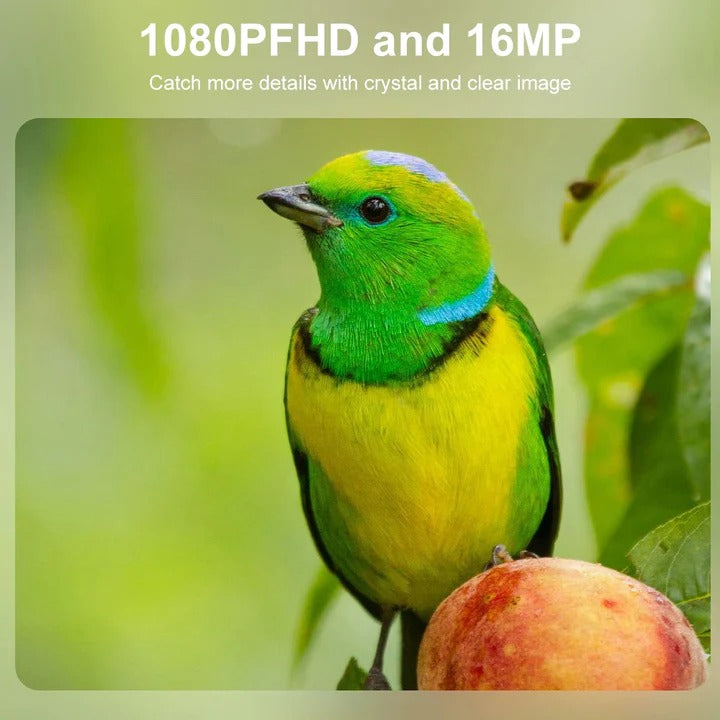 All-Weather Wildlife Camera with Instant Trigger and Night Vision