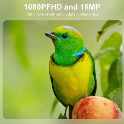 All-Weather Wildlife Camera with Instant Trigger and Night Vision