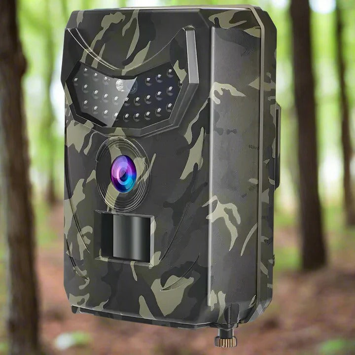 All-Weather Wildlife Monitoring Camera with Infrared Night Vision