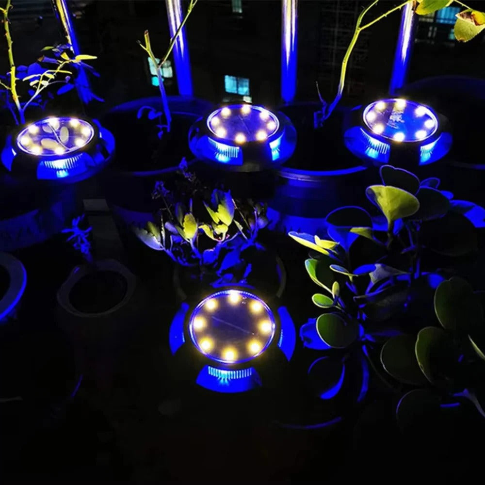 Vibrant Solar-Powered LED Garden Lights for Outdoor Spaces