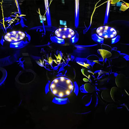 Vibrant Solar-Powered LED Garden Lights for Outdoor Spaces