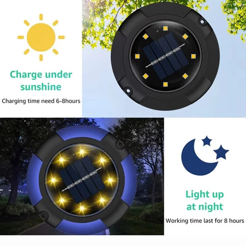 Vibrant Solar-Powered LED Garden Lights for Outdoor Spaces