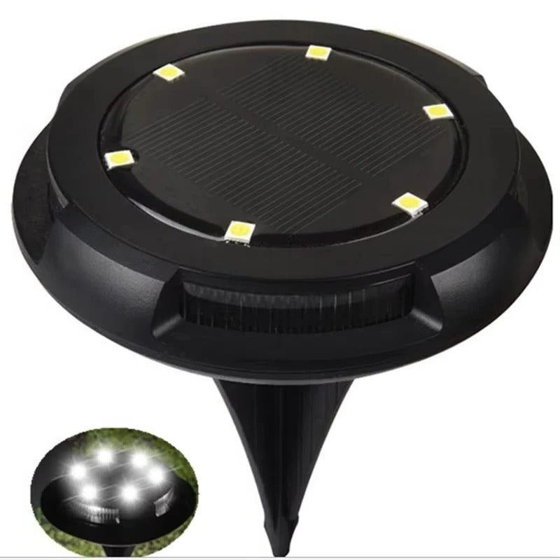Vibrant Solar-Powered LED Garden Lights for Outdoor Spaces