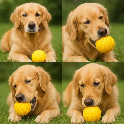 Ultimate Fetch and Tug Toy for Active Dogs