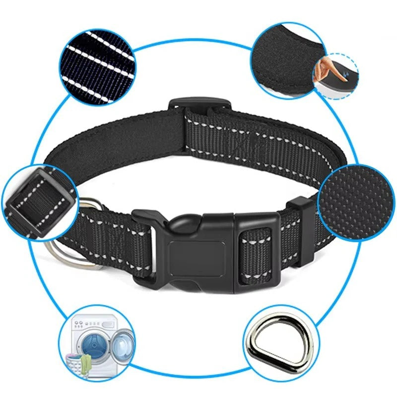 Illuminating Adjustable Dog Collar for Safe Evening Walks