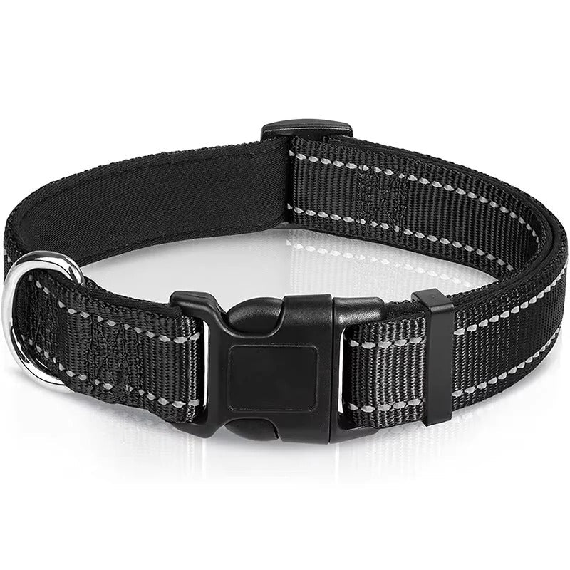 Illuminating Adjustable Dog Collar for Safe Evening Walks