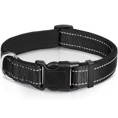 Illuminating Adjustable Dog Collar for Safe Evening Walks