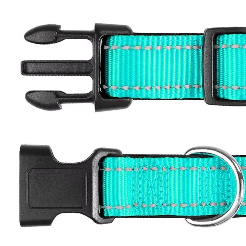 Illuminating Adjustable Dog Collar for Safe Evening Walks