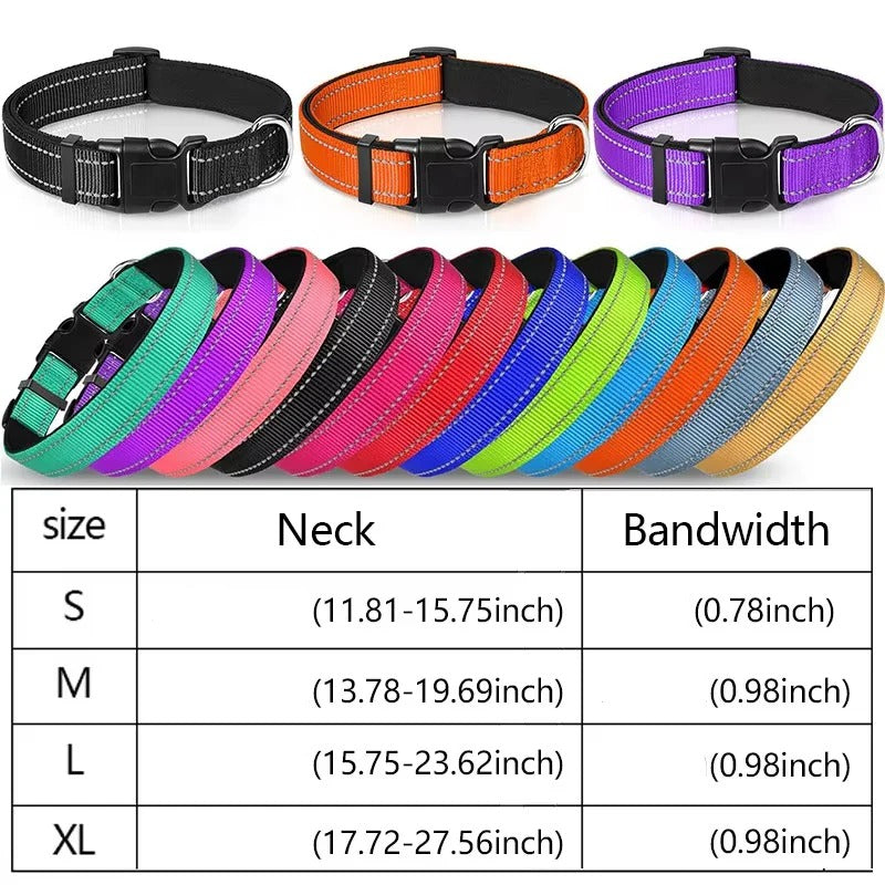 Illuminating Adjustable Dog Collar for Safe Evening Walks