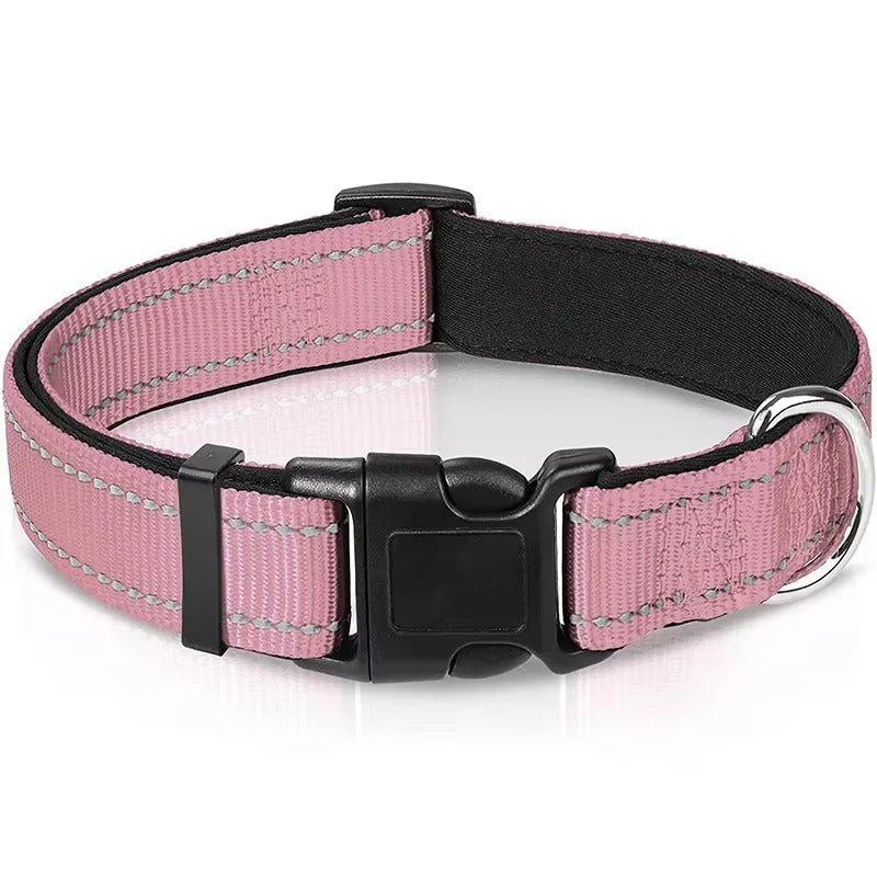 Illuminating Adjustable Dog Collar for Safe Evening Walks