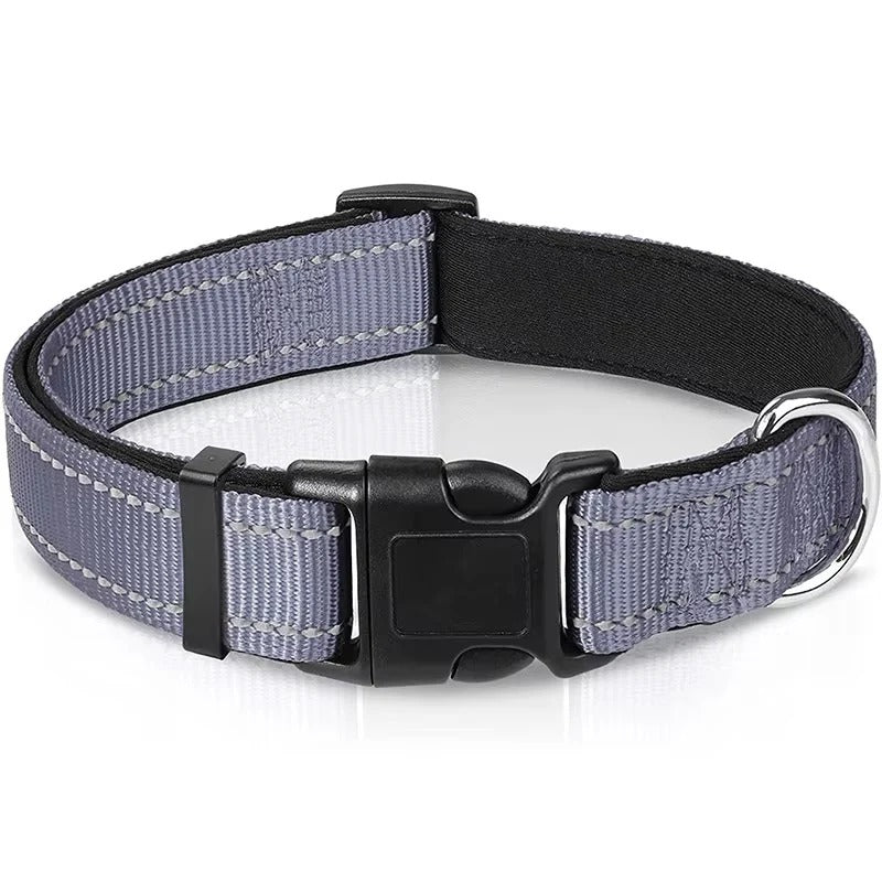 Illuminating Adjustable Dog Collar for Safe Evening Walks