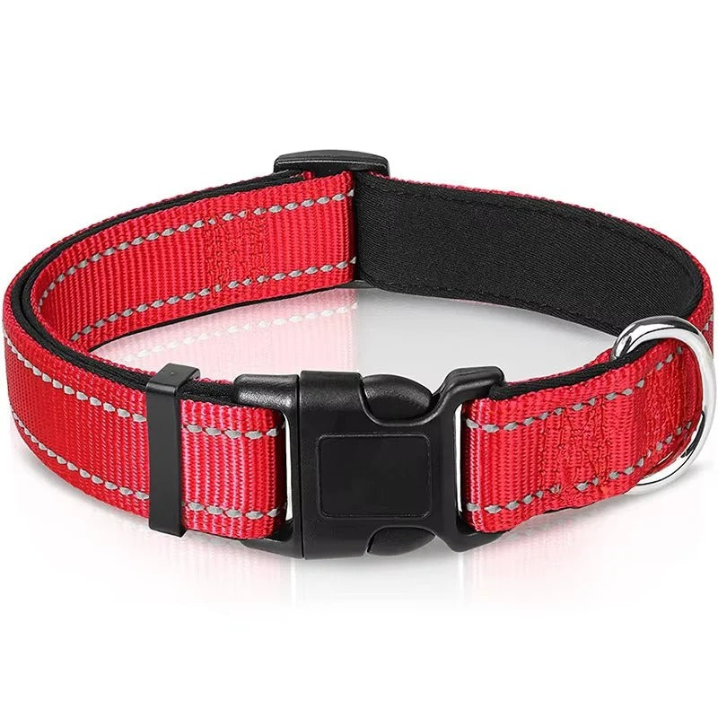 Illuminating Adjustable Dog Collar for Safe Evening Walks