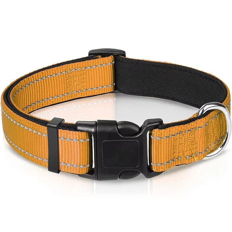 Illuminating Adjustable Dog Collar for Safe Evening Walks
