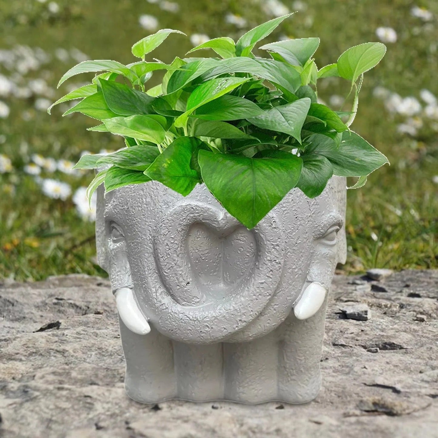 Charming Resin Planter for Stylish Indoor Spaces