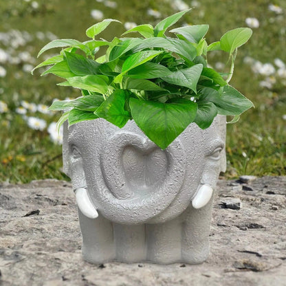 Charming Resin Planter for Stylish Indoor Spaces