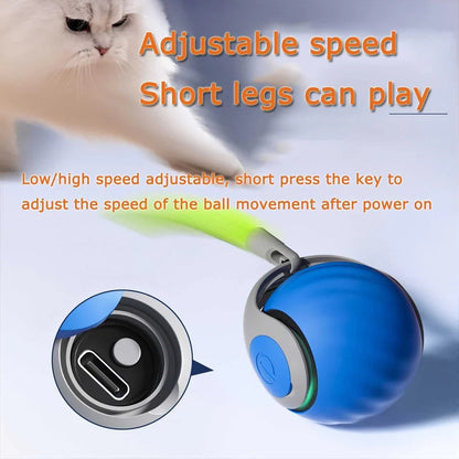 Self-Rolling Interactive Cat Toy with Feather Attachment - 2 Pack