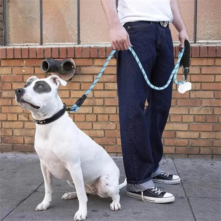 Comfort Grip Reflective Dog Leash for Enhanced Control