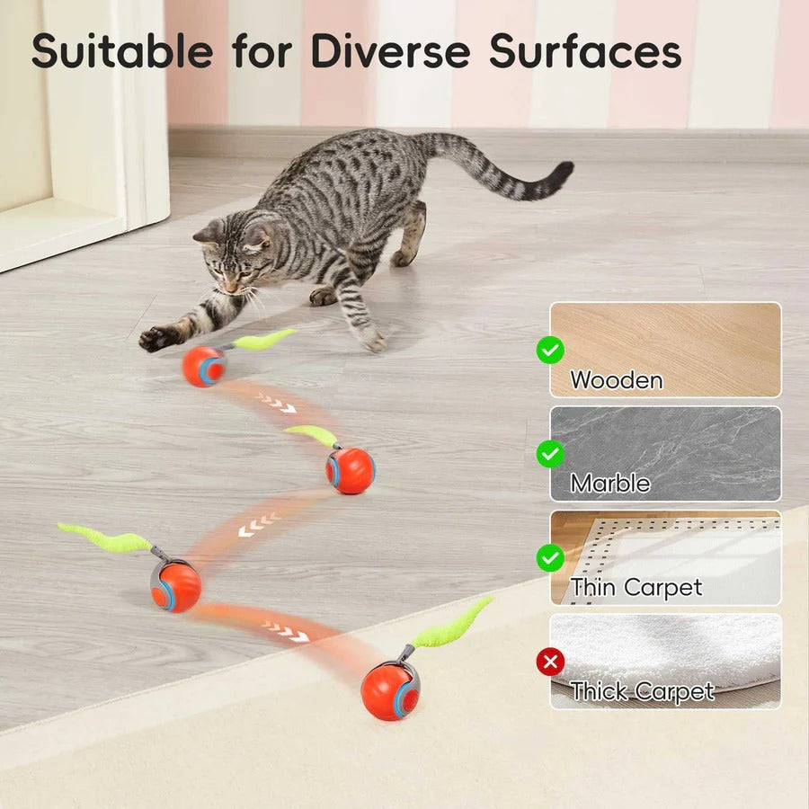 Self-Rolling Interactive Cat Toy with Feather Attachment - 2 Pack