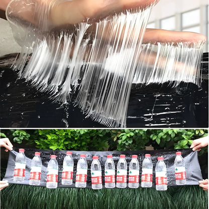 Eco-Friendly Adhesive Trap for Effective Pest Management