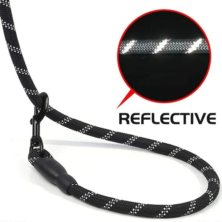 Comfort Grip Reflective Dog Leash for Enhanced Control