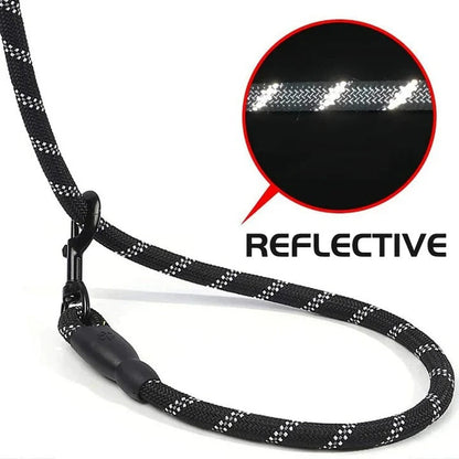 Comfort Grip Reflective Dog Leash for Enhanced Control
