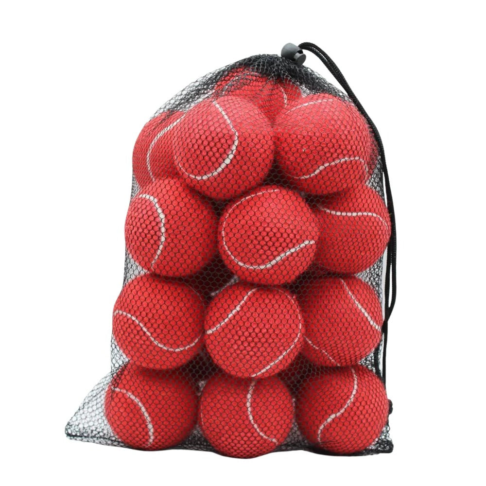 Ultimate Tennis Training Balls with Mesh Storage Bag - Set of 20
