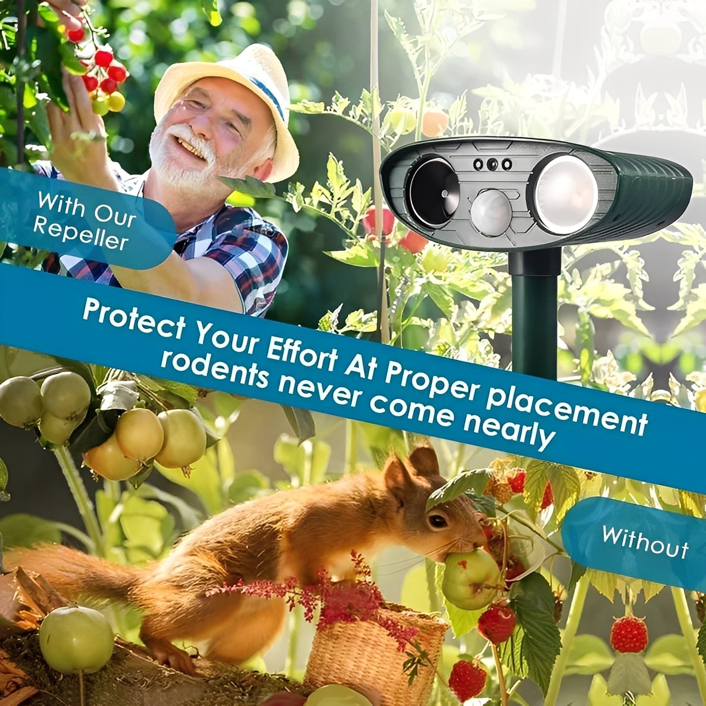 Eco-Friendly Motion-Activated Pest Control Set of 4