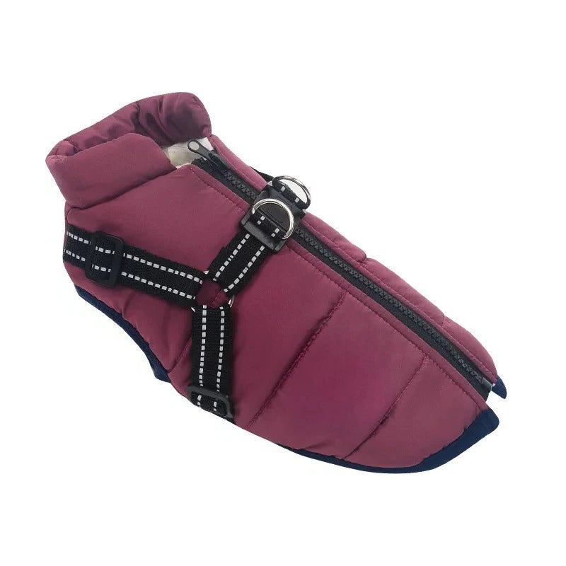 Weatherproof Canine Coat with Built-In Leash Connector