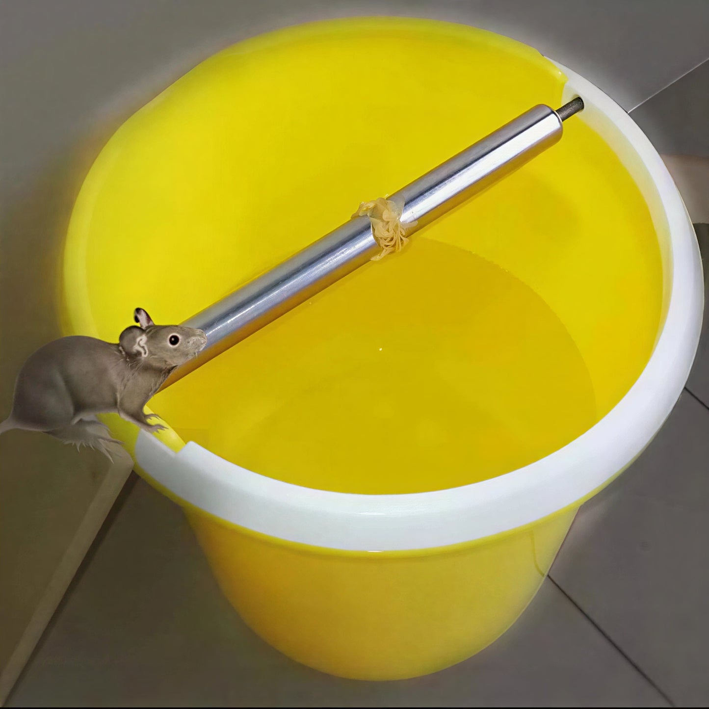Effortless Stainless Steel Mouse Trap for Bucket Use