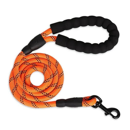 Comfort Grip Reflective Dog Leash for Enhanced Control