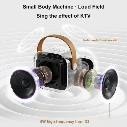 Compact Karaoke System with Wireless Mics and LED Lights