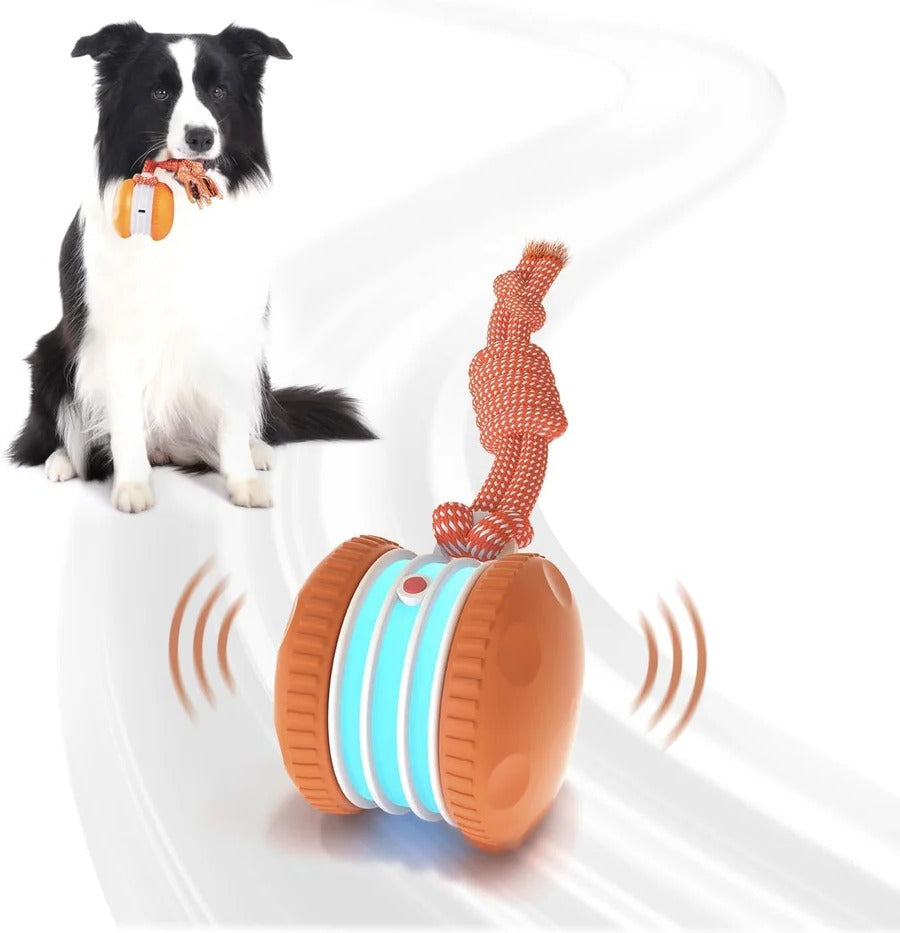 Interactive Rolling Dog Toy with Carry Rope – 2 Pack Set
