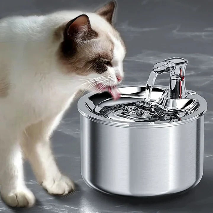 Smart Pet Water Fountain with Motion Activation and Filtration