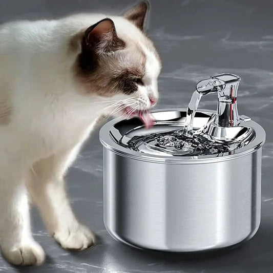 Smart Pet Water Fountain with Motion Activation and Filtration