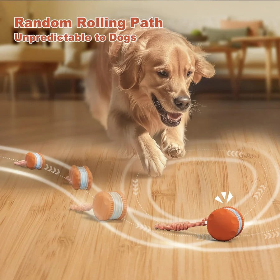 Interactive Rolling Dog Toy with Carry Rope – 2 Pack Set