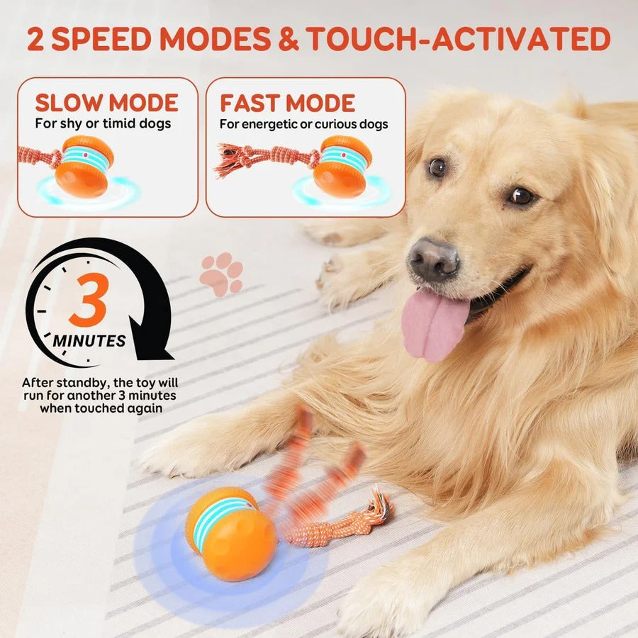 Interactive Rolling Dog Toy with Carry Rope – 2 Pack Set