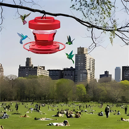Vibrant Hummingbird Nectar Feeder with Perches & Insect Guard