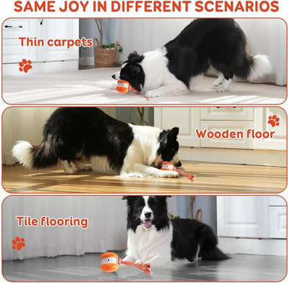 Interactive Rolling Dog Toy with Carry Rope – 2 Pack Set