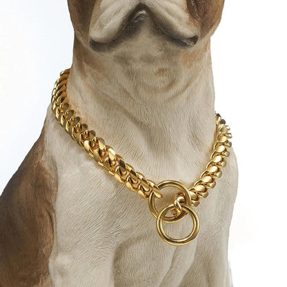 Robust Metal Chain Dog Collar for Strong Breeds in Vibrant Colors