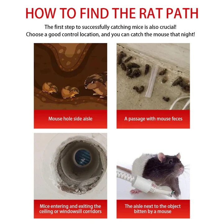 Durable Rodent Capture Trap with Easy-Access Sliding Door
