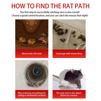 Durable Rodent Capture Trap with Easy-Access Sliding Door