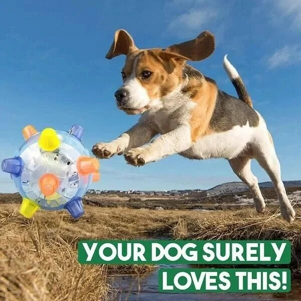Vibrant Bouncing Ball for Dogs - Interactive Light-Up Plaything