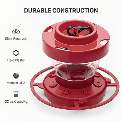 Vibrant Hummingbird Nectar Feeder with Perches & Insect Guard