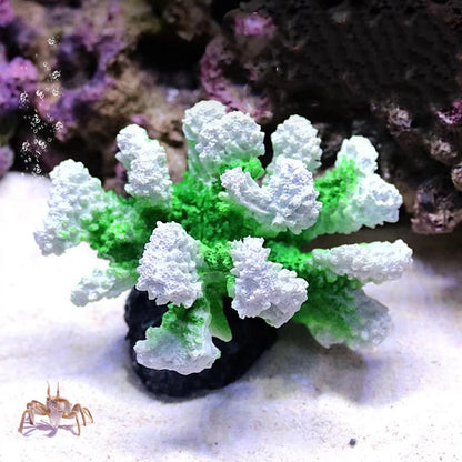 Vibrant Reef Decor for Aquariums - Eco-Friendly Resin Design