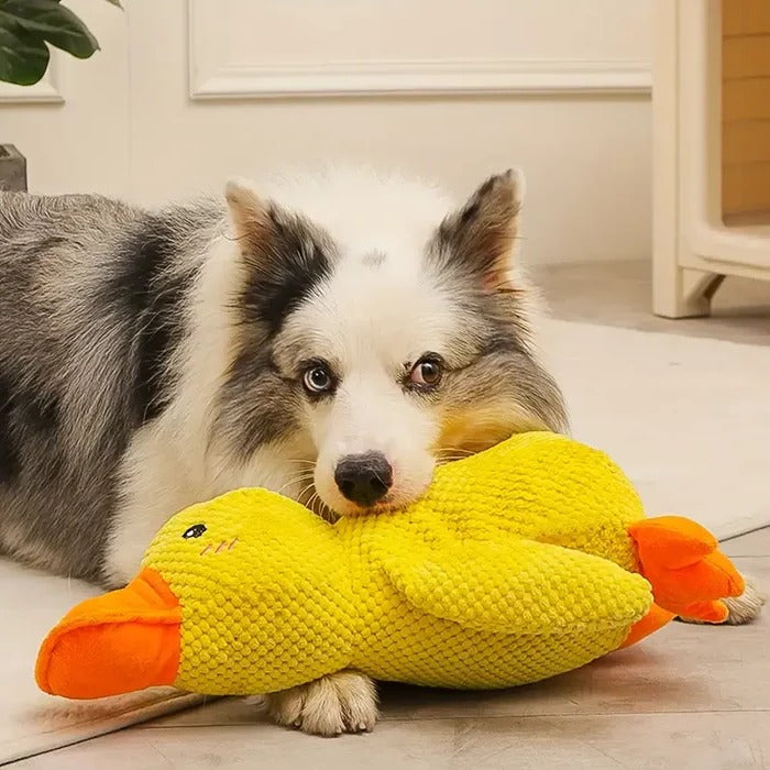 Gentle Quacker Buddy Plush Toy for Dogs