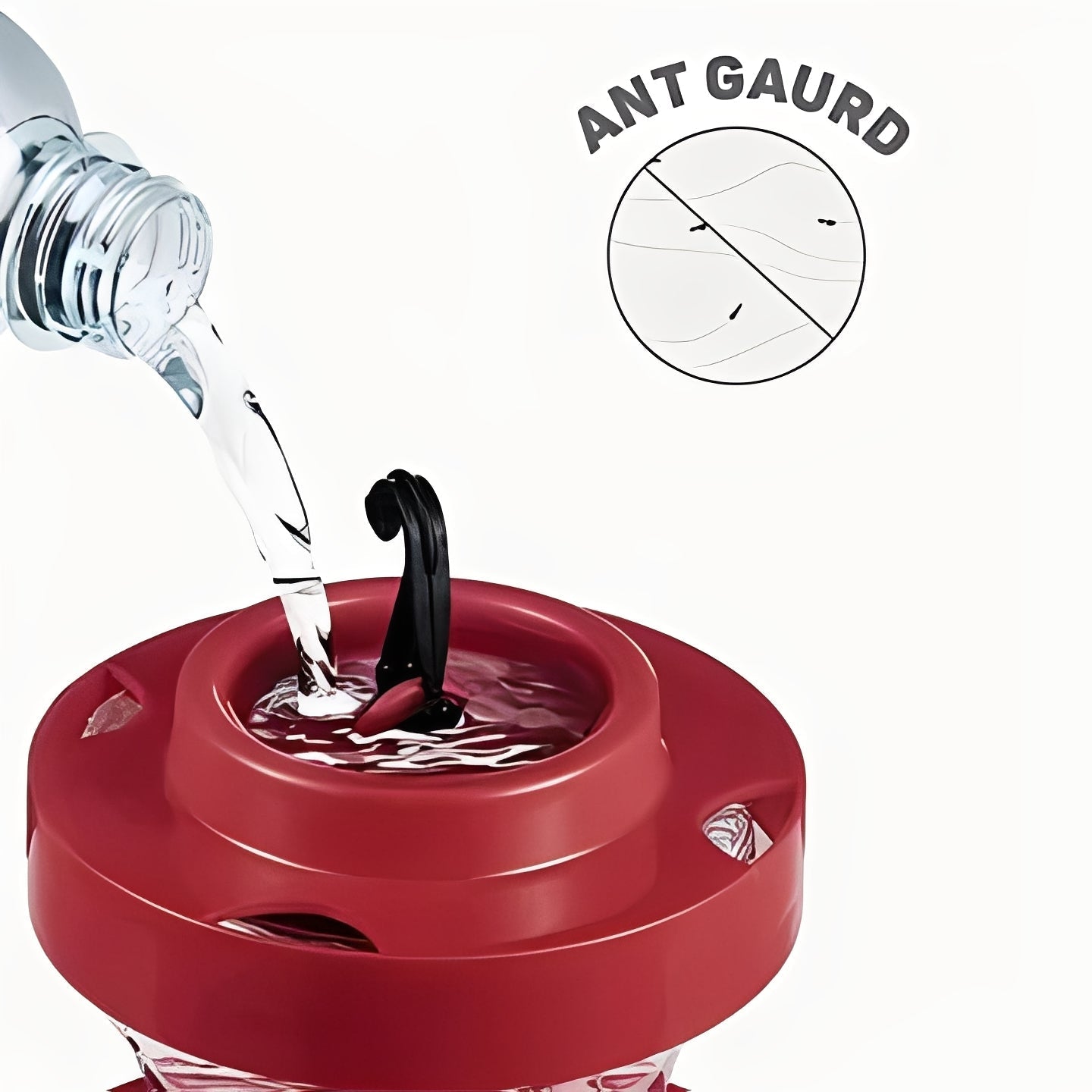 Vibrant Hummingbird Nectar Feeder with Perches & Insect Guard