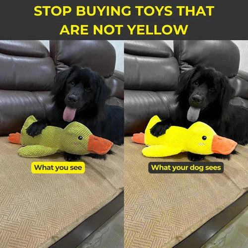 Gentle Quacker Buddy Plush Toy for Dogs