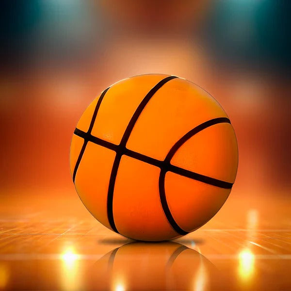 Silent Training Basketball for Indoor Skill Development