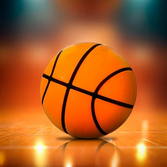 Silent Training Basketball for Indoor Skill Development