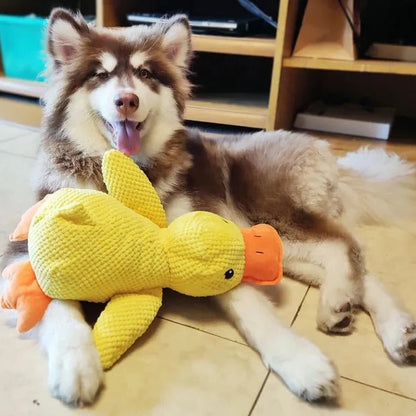 Gentle Quacker Buddy Plush Toy for Dogs